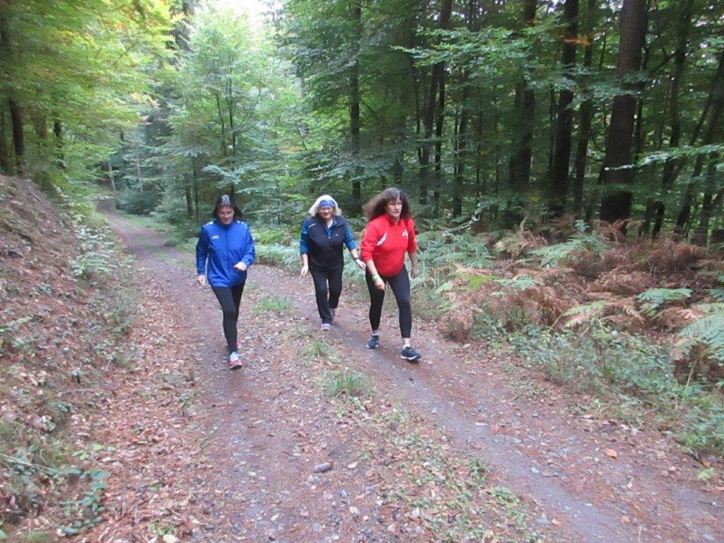 2-Stunden-Traningsläufe Bild: 2-Stunden-Traningsläufe