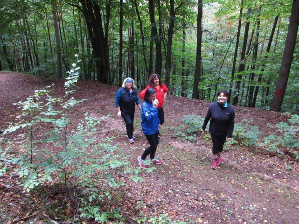 2-Stunden-Traningsläufe Bild: 2-Stunden-Traningsläufe