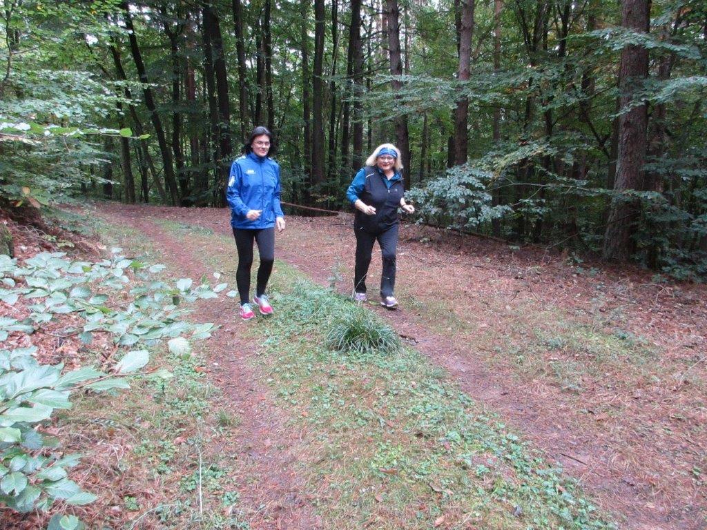 2-Stunden-Traningsläufe Bild: 2-Stunden-Traningsläufe