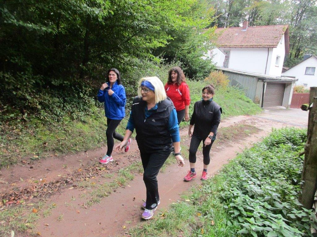 2-Stunden-Traningsläufe Bild: 2-Stunden-Traningsläufe