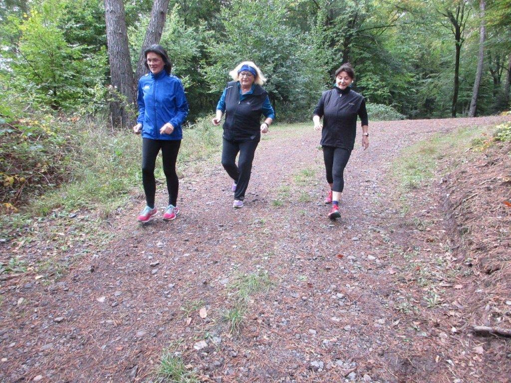 2-Stunden-Traningsläufe Bild: 2-Stunden-Traningsläufe