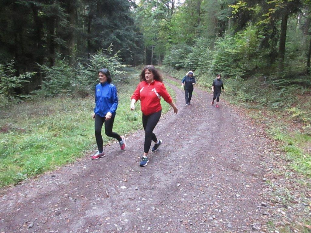 2-Stunden-Traningsläufe Bild: 2-Stunden-Traningsläufe