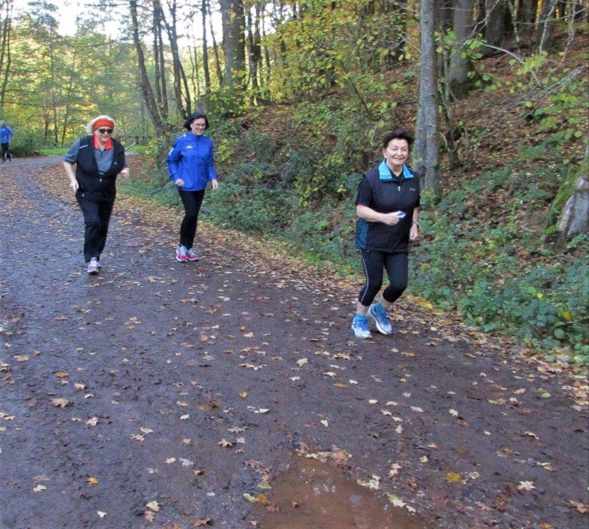 Traningslauf Silz Bild: Traningslauf Silz