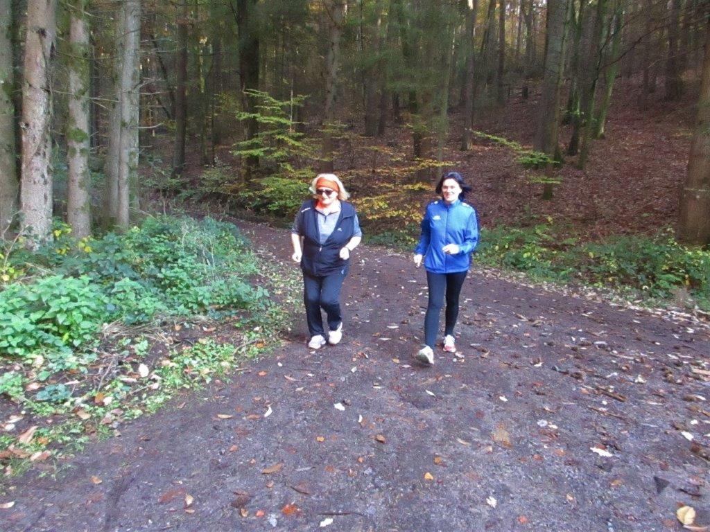 Traningslauf Silz Bild: Traningslauf Silz