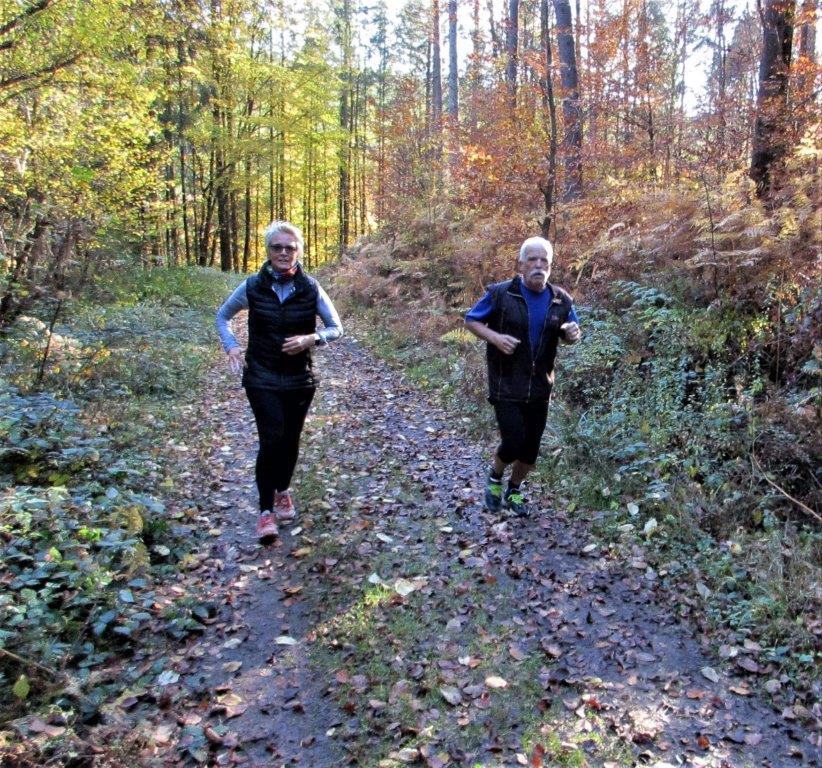 Traningslauf Silz Bild: Traningslauf Silz