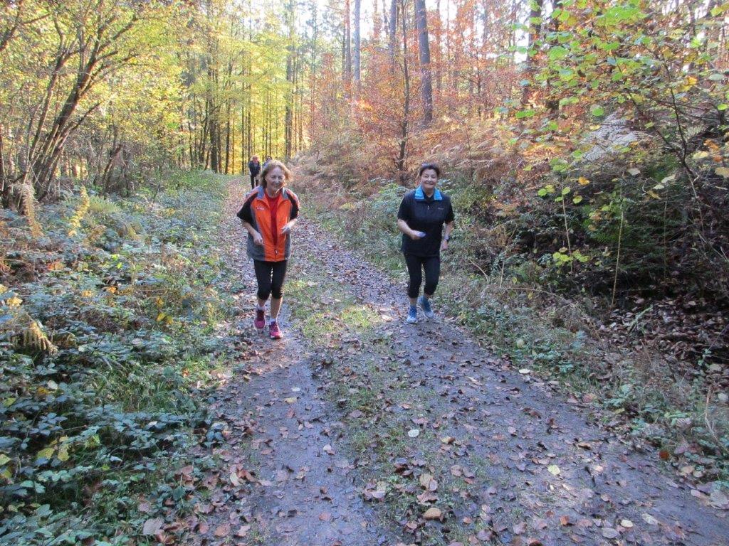 Traningslauf Silz Bild: Traningslauf Silz