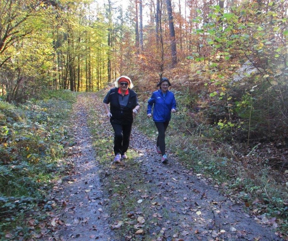 Traningslauf Silz Bild: Traningslauf Silz