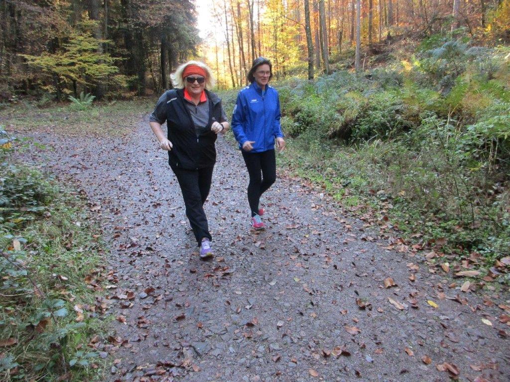 Traningslauf Silz Bild: Traningslauf Silz