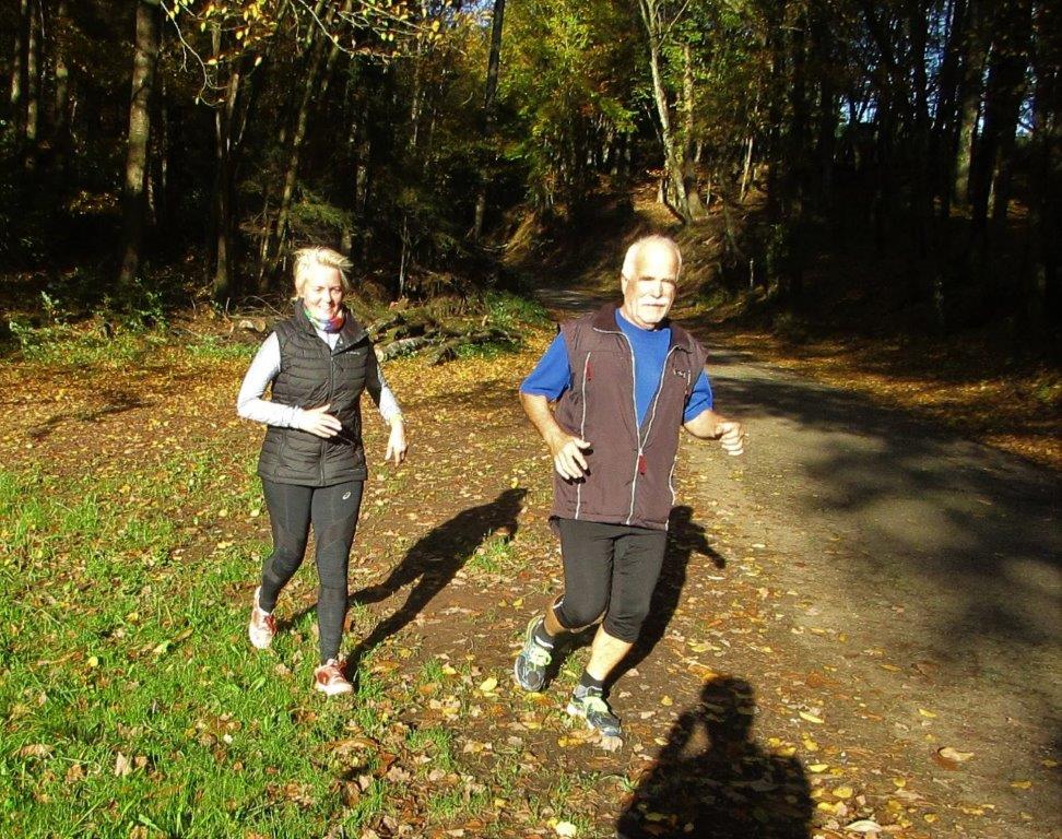 Traningslauf Silz Bild: Traningslauf Silz