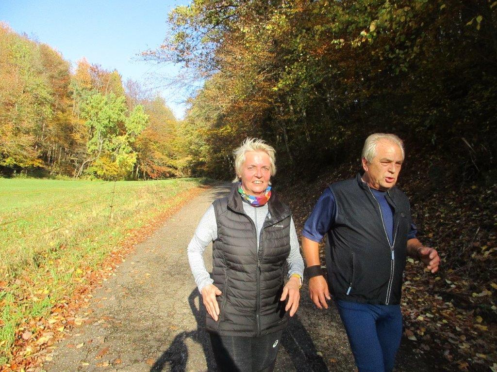 Traningslauf Silz Bild: Traningslauf Silz