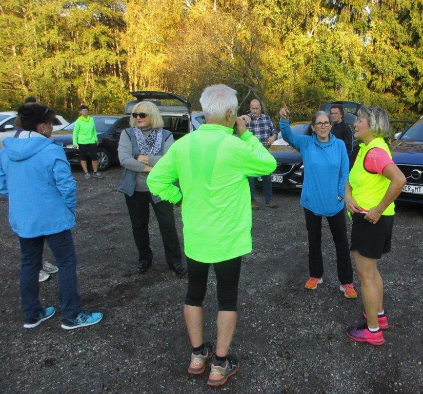 Traningslauf Silz Bild: Traningslauf Silz